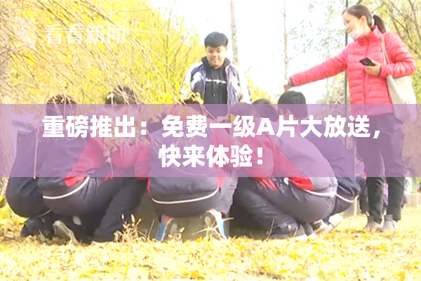 重磅推出：免费一级A片大放送，快来体验！