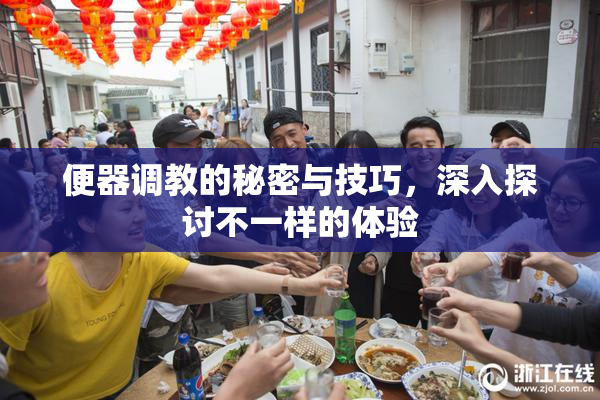 便器调教的秘密与技巧，深入探讨不一样的体验