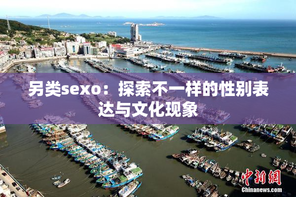另类sexo：探索不一样的性别表达与文化现象