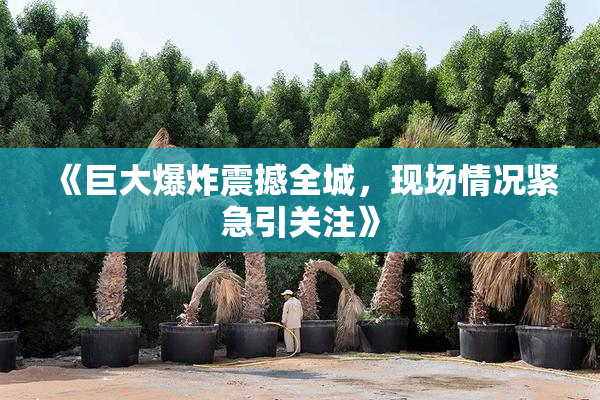 《巨大爆炸震撼全城，现场情况紧急引关注》