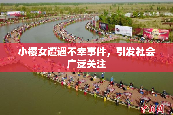 小樱女遭遇不幸事件，引发社会广泛关注