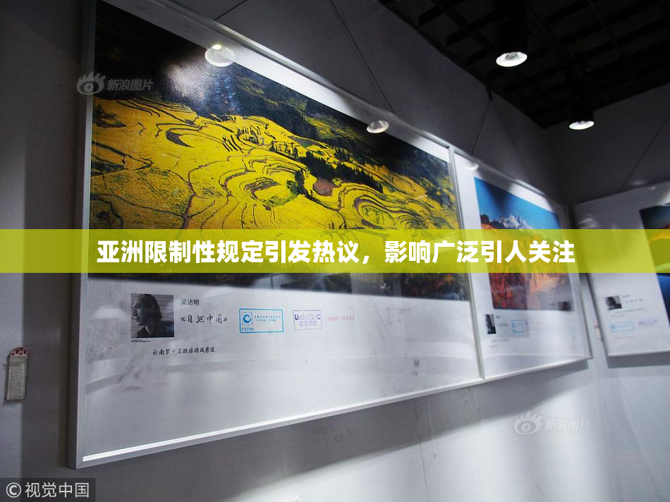 亚洲限制性规定引发热议，影响广泛引人关注