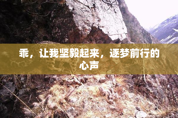乖，让我坚毅起来，逐梦前行的心声