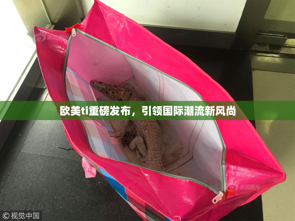 欧美ti重磅发布，引领国际潮流新风尚
