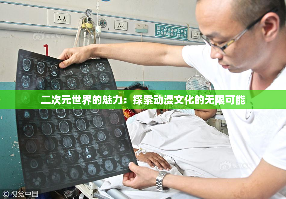 二次元世界的魅力：探索动漫文化的无限可能