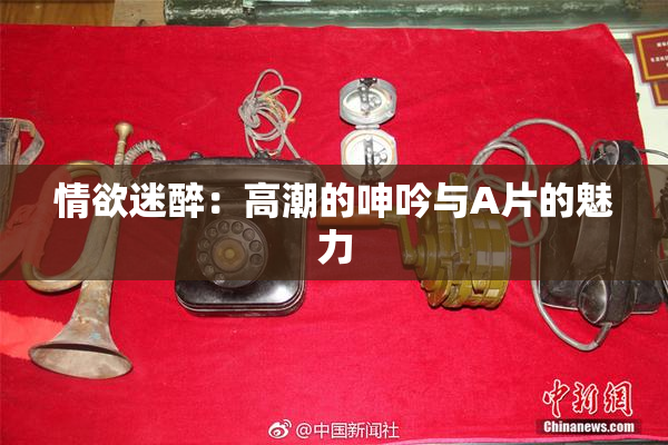 情欲迷醉：高潮的呻吟与A片的魅力