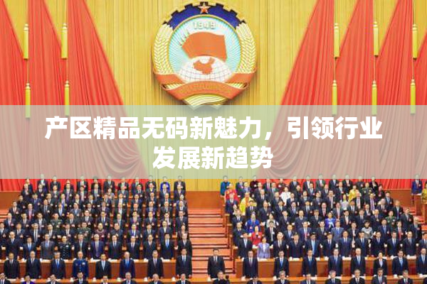 产区精品无码新魅力，引领行业发展新趋势