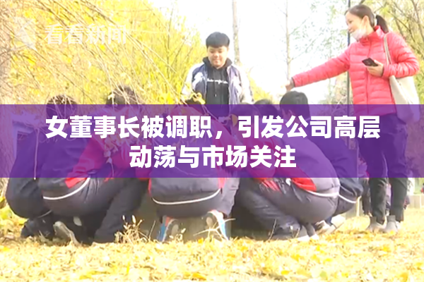女董事长被调职，引发公司高层动荡与市场关注