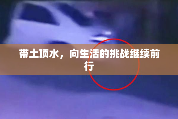 带土顶水，向生活的挑战继续前行