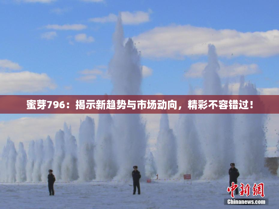 蜜芽796：揭示新趋势与市场动向，精彩不容错过！