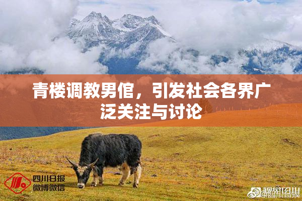 青楼调教男倌，引发社会各界广泛关注与讨论