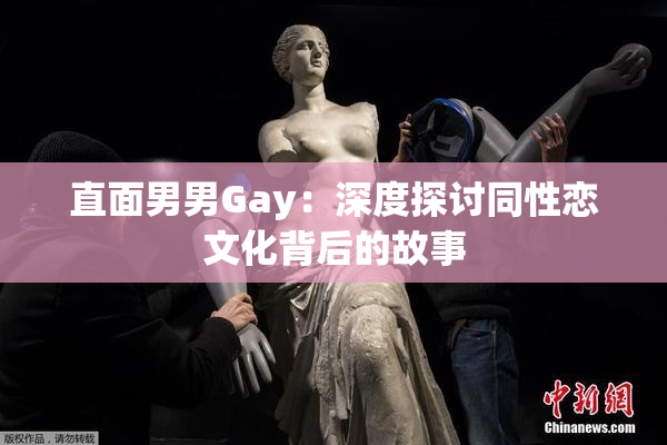 直面男男Gay：深度探讨同性恋文化背后的故事