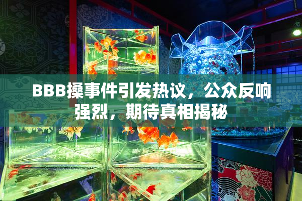 BBB搡事件引发热议，公众反响强烈，期待真相揭秘