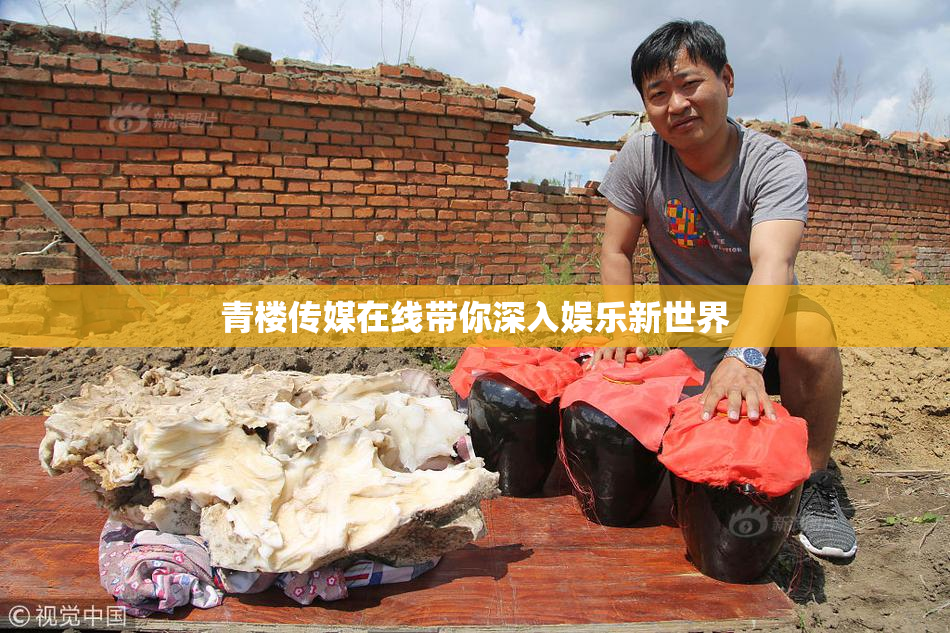 青楼传媒在线带你深入娱乐新世界