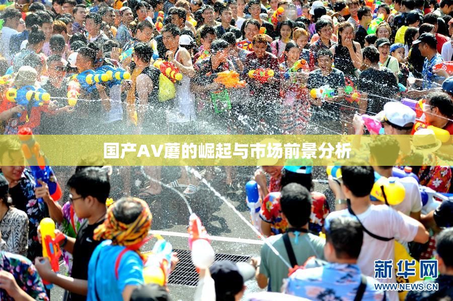 国产AV蘑的崛起与市场前景分析