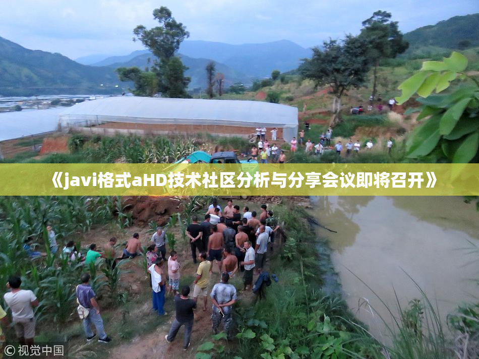 《javi格式aHD技术社区分析与分享会议即将召开》
