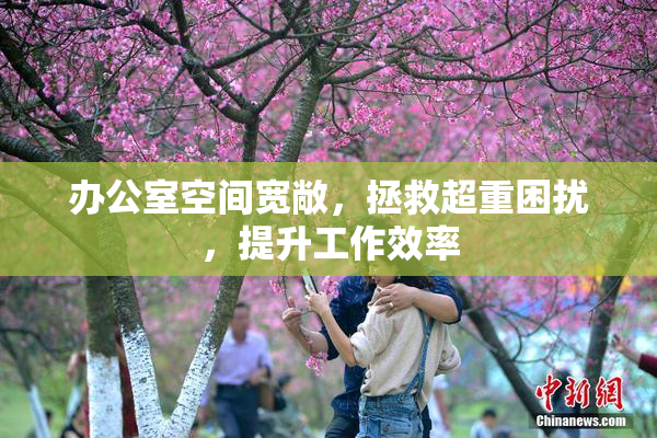 办公室空间宽敞，拯救超重困扰，提升工作效率