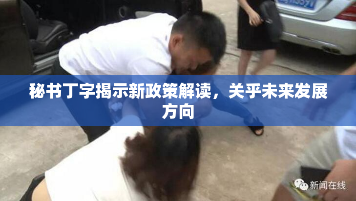 秘书丁字揭示新政策解读，关乎未来发展方向