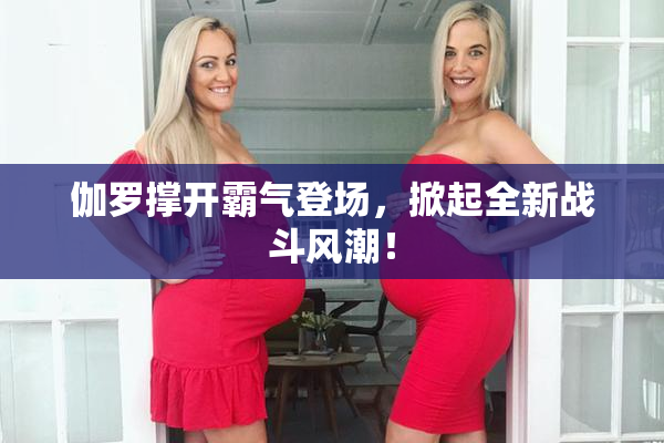 伽罗撑开霸气登场，掀起全新战斗风潮！