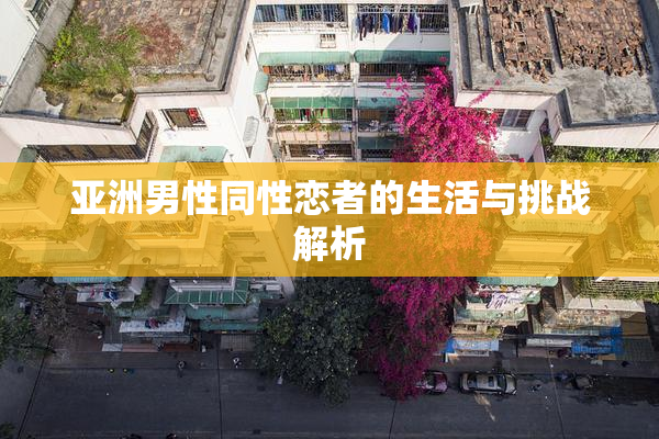 亚洲男性同性恋者的生活与挑战解析