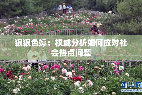 狠狠色婷：权威分析如何应对社会热点问题