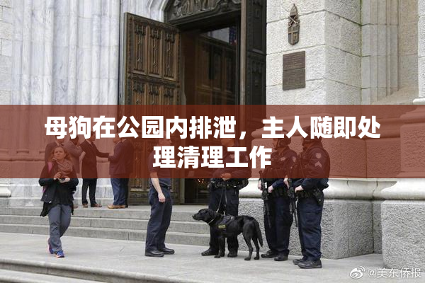 母狗在公园内排泄，主人随即处理清理工作