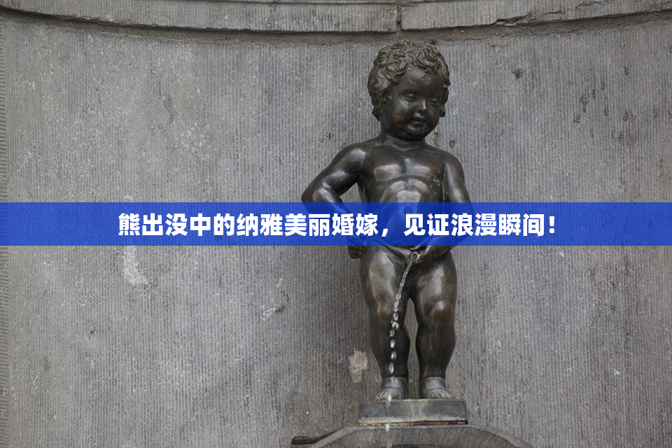 熊出没中的纳雅美丽婚嫁，见证浪漫瞬间！