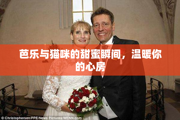芭乐与猫咪的甜蜜瞬间，温暖你的心房