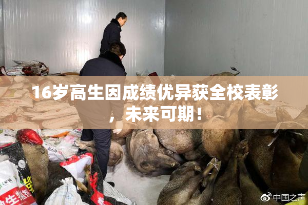16岁高生因成绩优异获全校表彰，未来可期！
