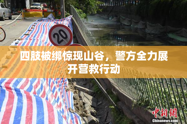 四肢被绑惊现山谷，警方全力展开营救行动