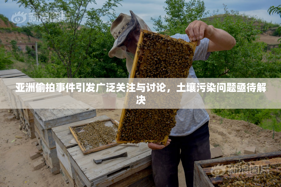 亚洲偷拍事件引发广泛关注与讨论，土壤污染问题亟待解决