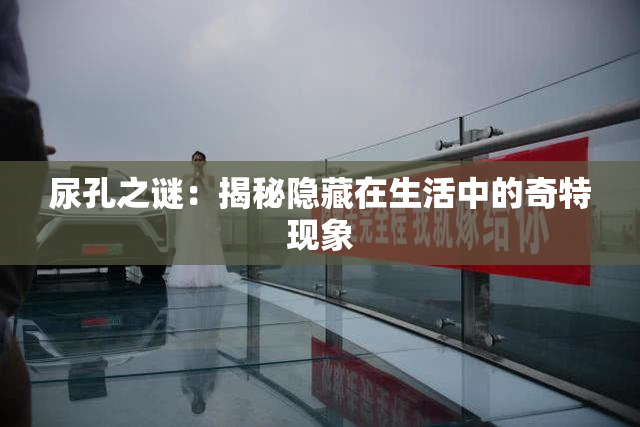 尿孔之谜：揭秘隐藏在生活中的奇特现象