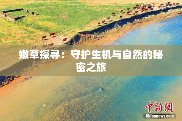 嫩草探寻：守护生机与自然的秘密之旅