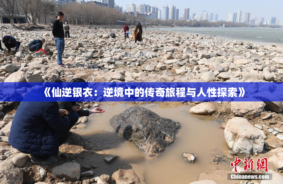 《仙逆银衣：逆境中的传奇旅程与人性探索》