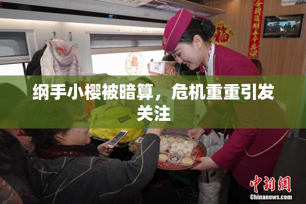 纲手小樱被暗算，危机重重引发关注