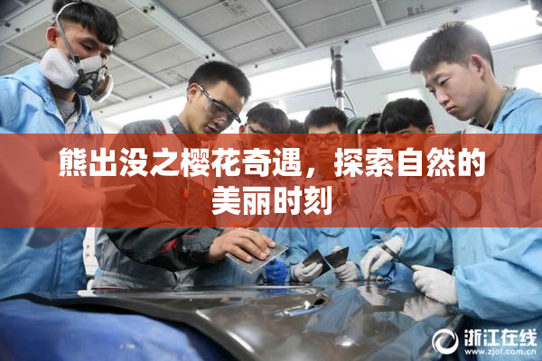 熊出没之樱花奇遇，探索自然的美丽时刻