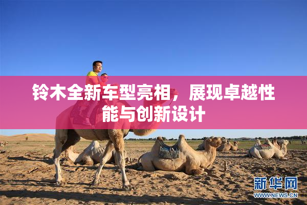 铃木全新车型亮相，展现卓越性能与创新设计