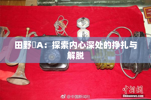 田野憂A：探索内心深处的挣扎与解脱