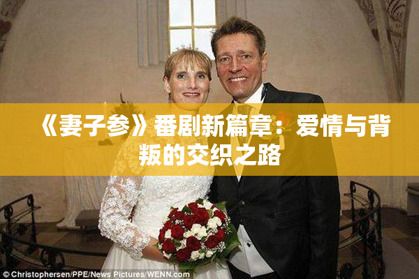 《妻子参》番剧新篇章：爱情与背叛的交织之路