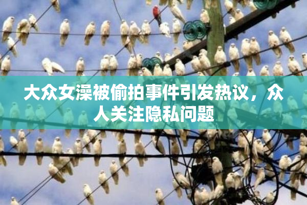 大众女澡被偷拍事件引发热议，众人关注隐私问题