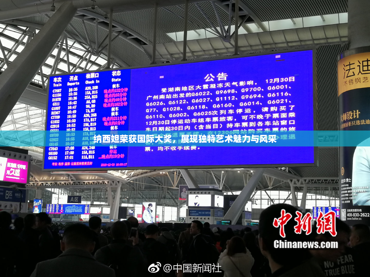 纳西妲荣获国际大奖，展现独特艺术魅力与风采
