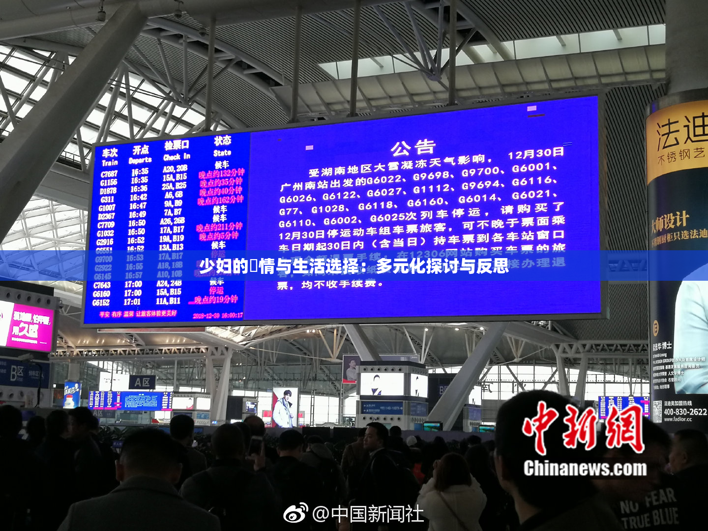 少妇的婬情与生活选择：多元化探讨与反思