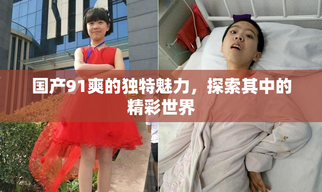 国产91爽的独特魅力，探索其中的精彩世界
