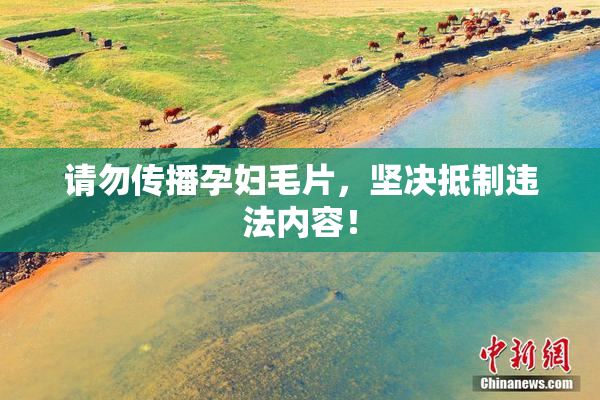 请勿传播孕妇毛片，坚决抵制违法内容！