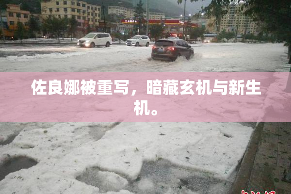 佐良娜被重写，暗藏玄机与新生机。