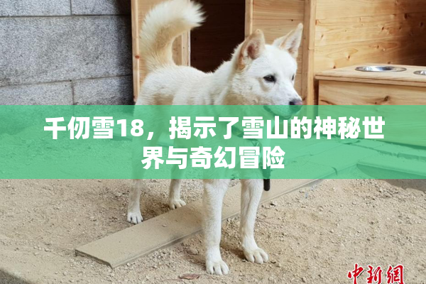 千仞雪18，揭示了雪山的神秘世界与奇幻冒险