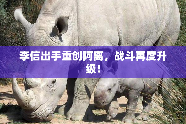 李信出手重创阿离，战斗再度升级！