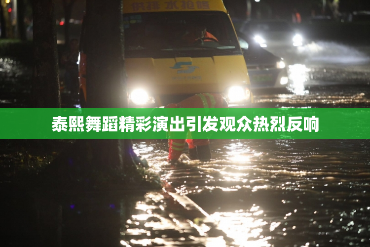 泰熙舞蹈精彩演出引发观众热烈反响