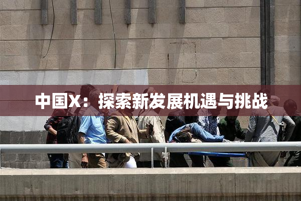 中国X：探索新发展机遇与挑战