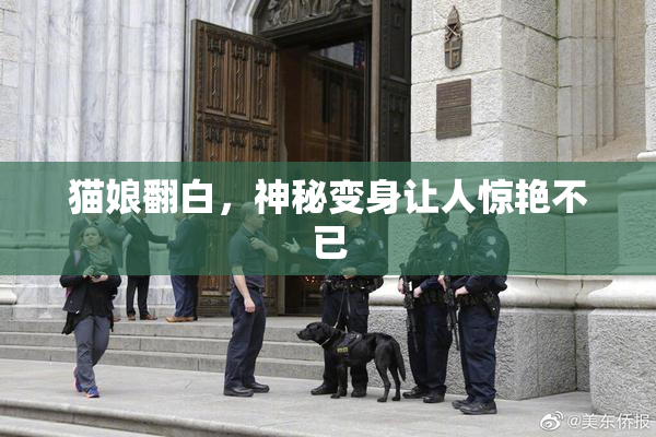 猫娘翻白，神秘变身让人惊艳不已